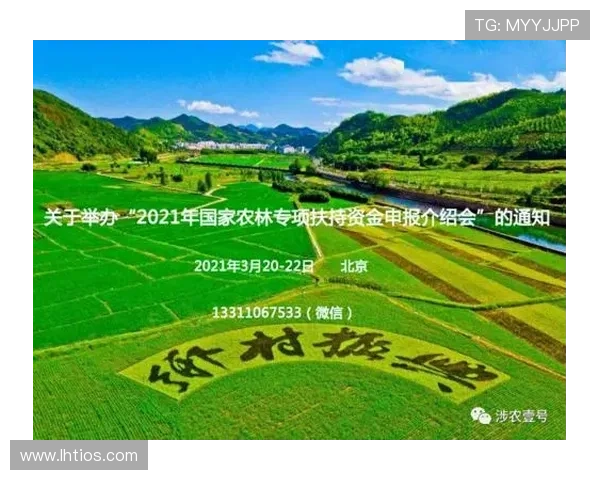 mg体育官网的支付方式多样化与快速到账流程详解提升资金流转效率